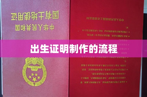 狮潭出生证明制作的流程