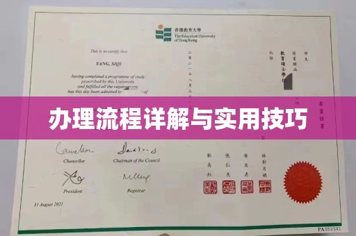 狮潭办理流程详解与实用技巧