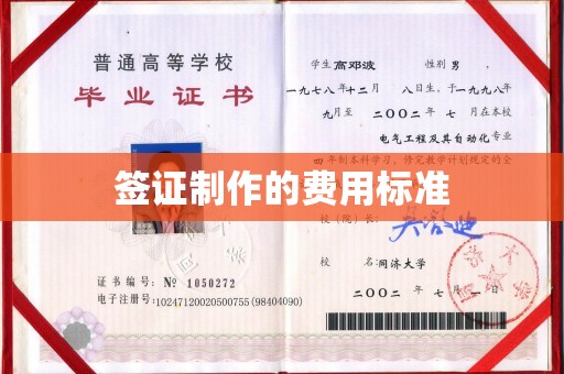 狮潭签证制作的费用标准