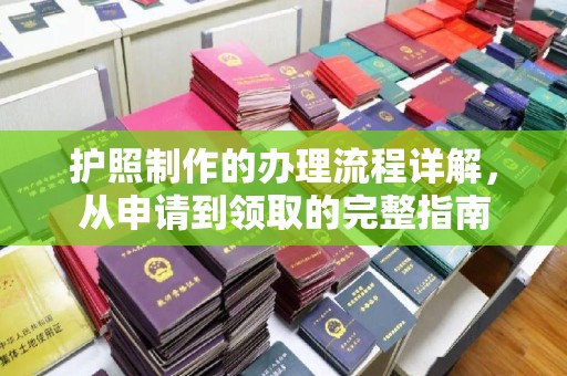 狮潭护照制作的办理流程详解，从申请到领取的完整指南