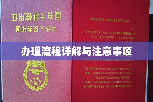 狮潭办理流程详解与注意事项